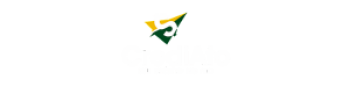 Logo 300x100